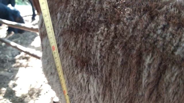 Телефон номер 0551036304 чиста тажик адрес Шамалдысай смотреть онлайн