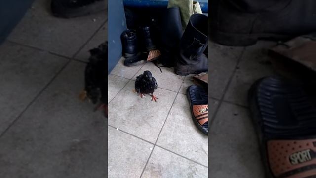 Зашёл погреться. смотреть онлайн