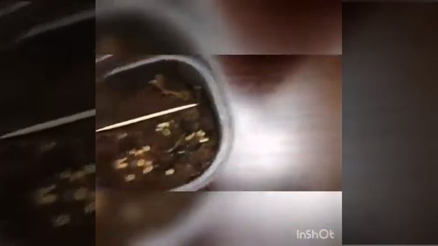 Посадка семян тмина и хельбы смотреть онлайн