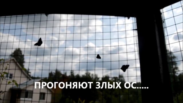 Бабочки летают.... смотреть онлайн