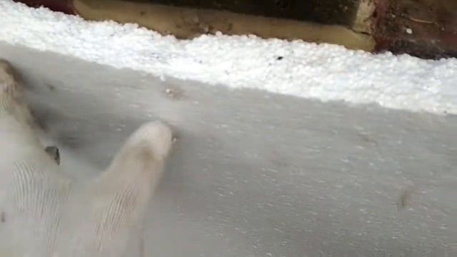 Клеем пенопласт и бетон! смотреть онлайн