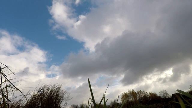 Рыбалка на экраны Любимая ямка. смотреть онлайн