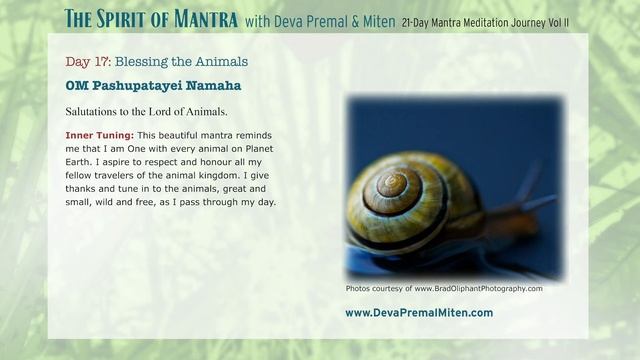 The Spirit of Mantra: 21-Day Mantra Meditation Journey Vol. II - Day 17 смотреть онлайн