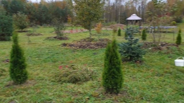 МАЛЕНЬКИЙ ИЛИ БОЛЬШОЙ САЖЕНЕЦ РАСТЕНИЙ??? смотреть онлайн