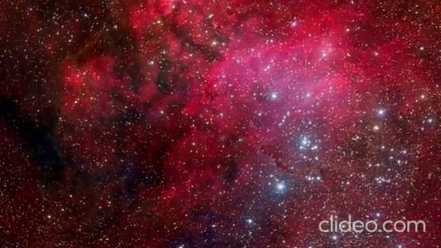 Эго помощник разума. смотреть онлайн