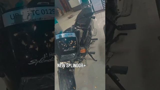 black seplendor sale contract me смотреть онлайн