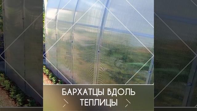 Клумбы на даче. смотреть онлайн