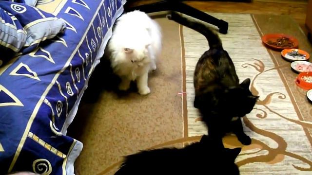 Охотники за удачей.avi смотреть онлайн