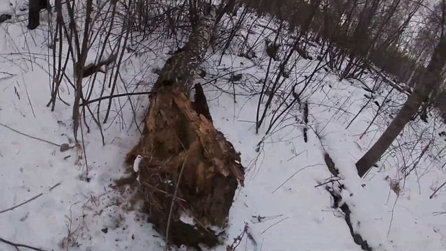 Охота на Куницу.ЛРЕ. Вот это да!!!!!!! смотреть онлайн