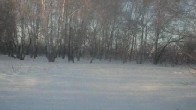 Сибирский ответ глобальному потеплению