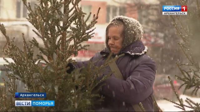 800 рублей — столько в среднем стоит главное украшение Нового года в Архангельске смотреть онлайн