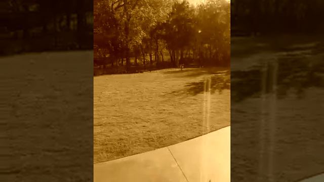 Wade out into the water смотреть онлайн