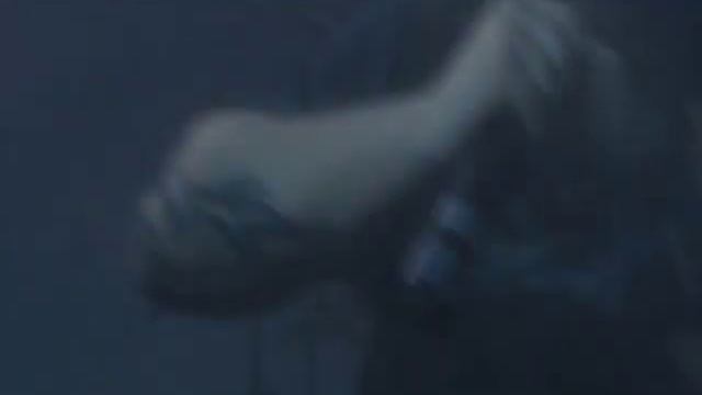 Malefice - Risen Through The Ashes смотреть онлайн