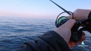 Бычок-кнут на спиннинг. Черноморский бычок как ловить. Снасть на морского бычка. Приманка на бычка.