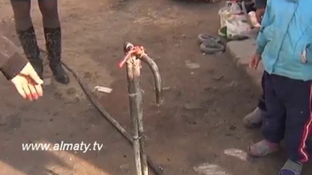 ЭКОНОМИЯ ВОДЫ смотреть онлайн