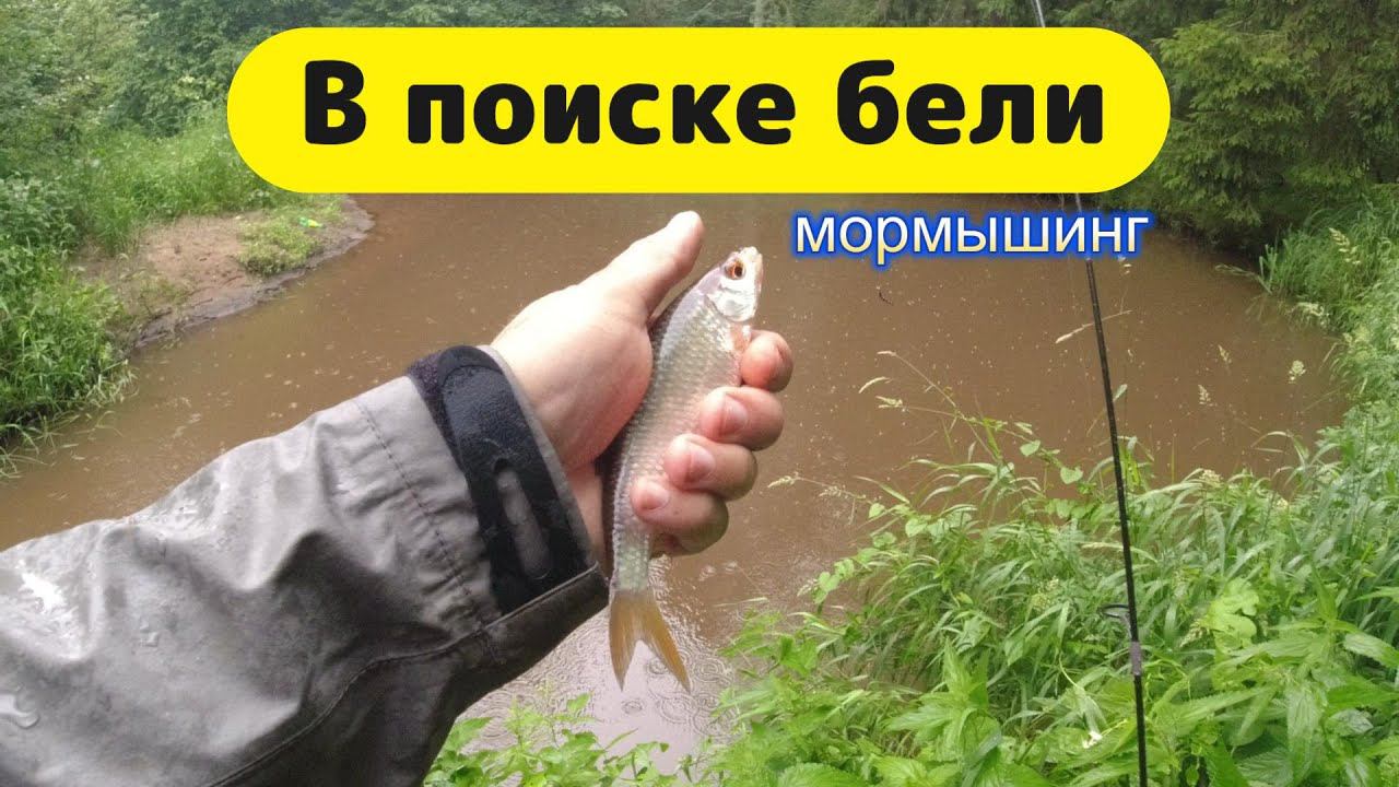 #мормышинг | В поисках бели | Озеро и микро речка | смотреть онлайн
