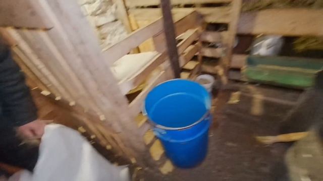 Позавтракали и поехали в город Купили скумбрию, селедку, КК и фелуцен