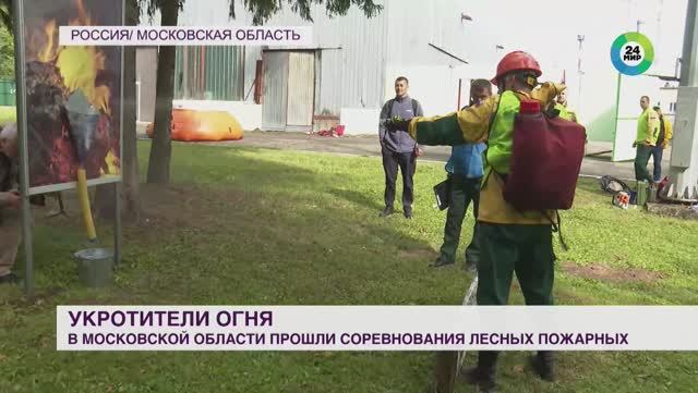 МИР24   Лучший лесной пожарный - 2023