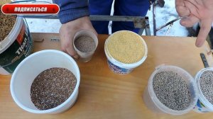 Корм для перепелов - улучшаем качество