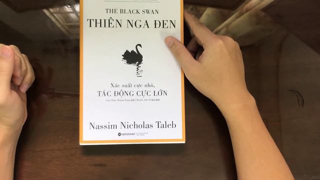 Thiên Nga đen - Nassim Nicholas Taleb - sách đầu tư - Review sách смотреть онлайн