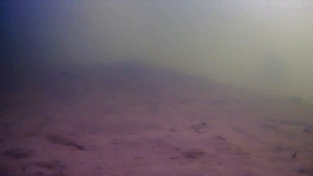 Толстолоб с «Стрелецком ручье» смотреть онлайн