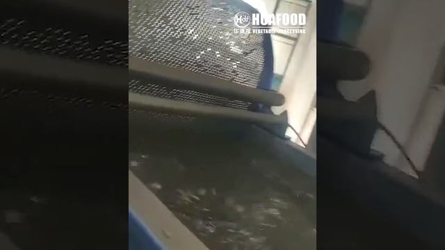 2020 NEW vortex vegetable washer vegetable washing machine смотреть онлайн