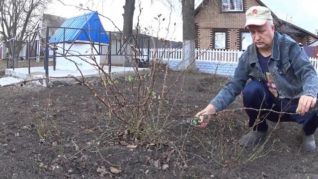 ОБРЕЗКА РОЗ. смотреть онлайн