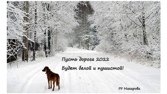Фотоклуб «Пушка» 2021-2022 учебный год смотреть онлайн