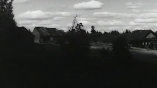 стихотворение "Гуляет грязь..." (С. Лозница “Портрет“) смотреть онлайн