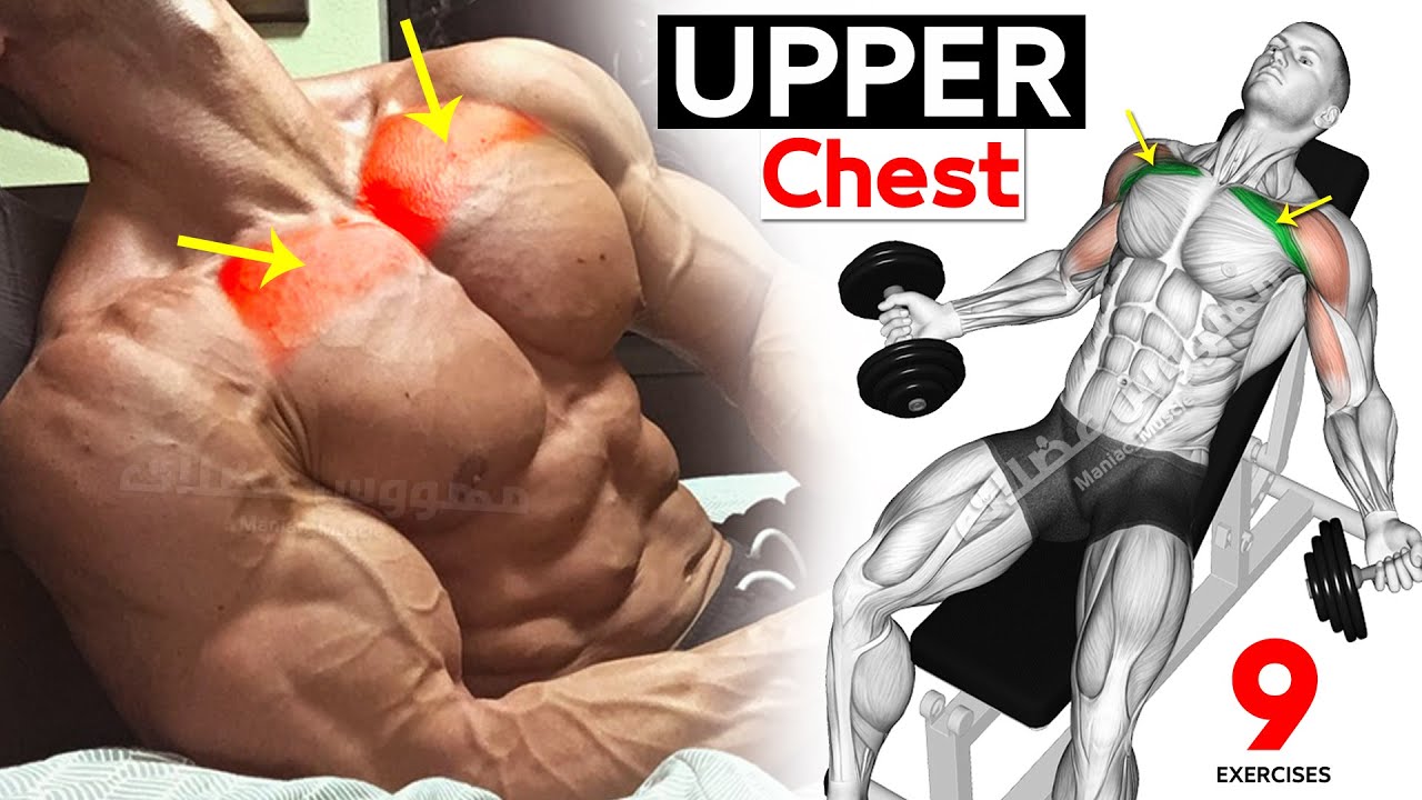 9 ЛУЧШИХ УПРАЖНЕНИЙ «ВЕРХНЯЯ ГРУДЬ» ? смотреть онлайн