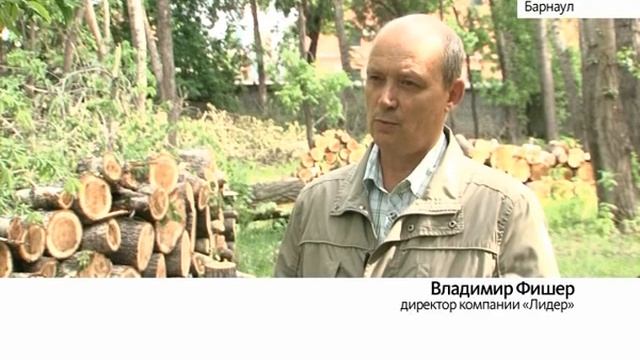 Новый арендатор парка «Изумрудный» пояснил ситуацию с вырубкой деревьев смотреть онлайн