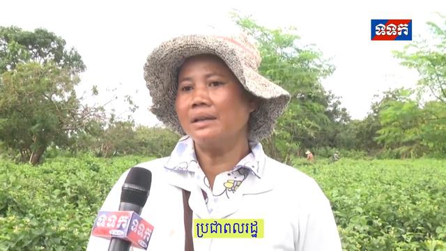 2018 08 23 ប្រធានបទ ដំណាំផ្កាម្លិះ