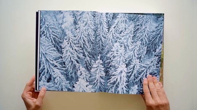 Пролистать книгу КУТ смотреть онлайн