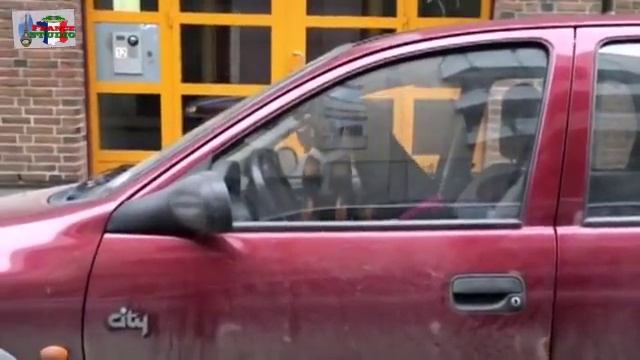 Собака за рулем смотреть онлайн