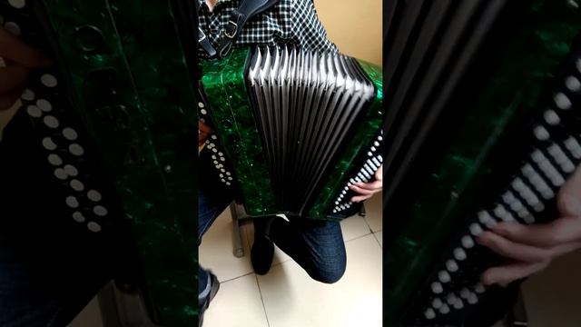 Гимн Казахстан на баяне смотреть онлайн