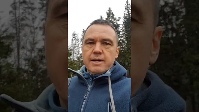 Строительство мини турбаз и баз отдыха. Пассивный доход. смотреть онлайн