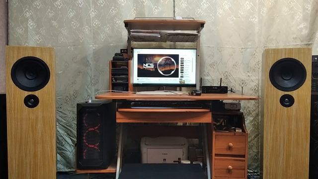 Arylic B50 Bluetooth Stereo Amplifier +TQWP труба Войта.