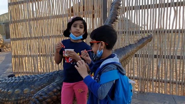 Dubai Safari Park | Dubai Zoo | Umm Al Quwain Zoo смотреть онлайн