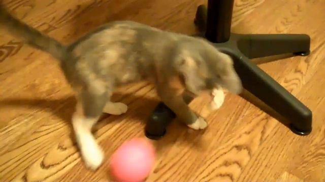 2011 06 - Ксюша охотится смотреть онлайн