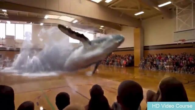 The Complete iOS App Development Bootcamp смотреть онлайн