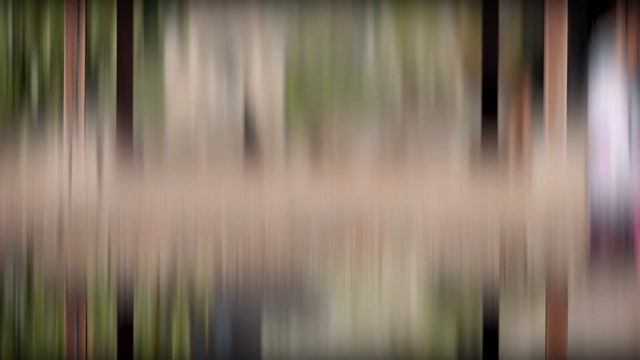 Bhakti Yoga trip with Pradnya to Taman Ayun Temple, the World Heritage Site by UNESCO смотреть онлайн