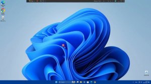 salinwin.exe on windows 11 pro