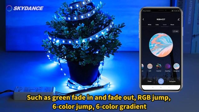 SKYDANCE WT5 5 in 1 RF WiFi controller Tuya app control/Voice control/ Music/Timer function смотреть онлайн