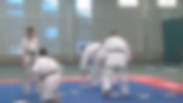 New history Kyokushin in Orel смотреть онлайн