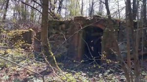 Коп на развалинах поместья.Калининград.Окрестности немецкой  школы.