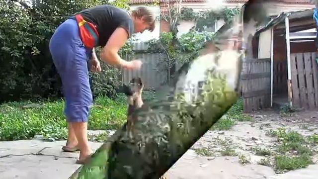 Бестия, 2 мес, 3 недели смотреть онлайн