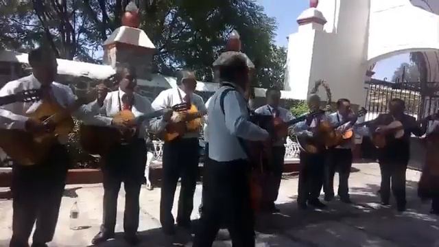 "CARTAS MARCADAS" смотреть онлайн