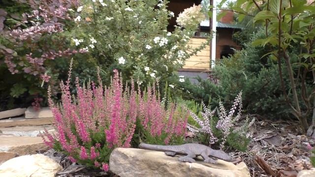 Верески в Сибирском саду смотреть онлайн