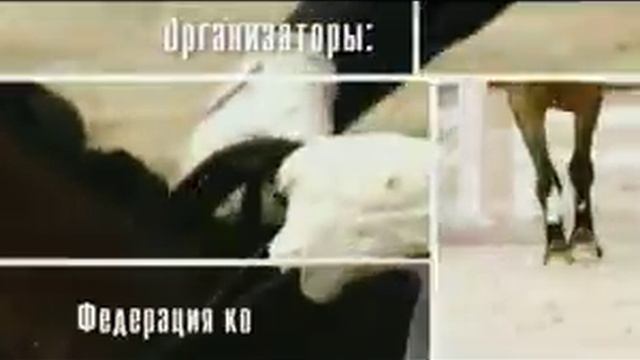 Анонс турнира "Кубок мира", "Кубок Президента РК" / FEI World Cup 2012 смотреть онлайн