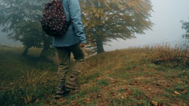 Montenegro Part 6. Crno Lake | 4K. Черногория. Черное озеро | Cinematic short film смотреть онлайн